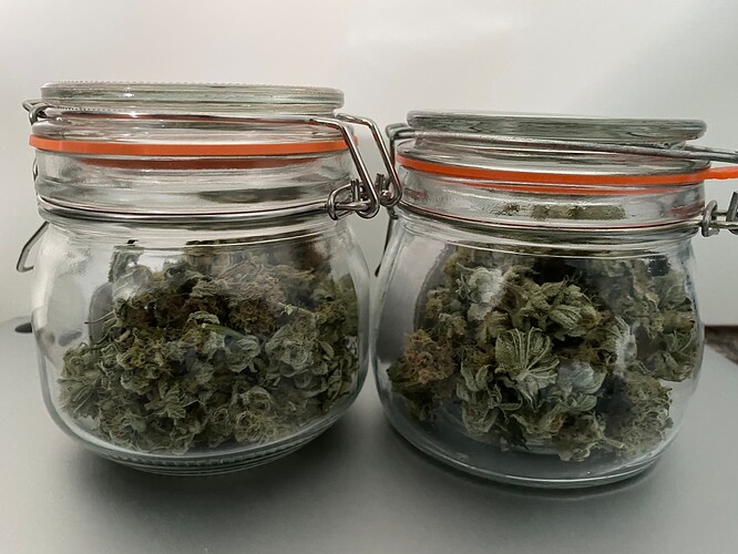 Growreport Bild 10