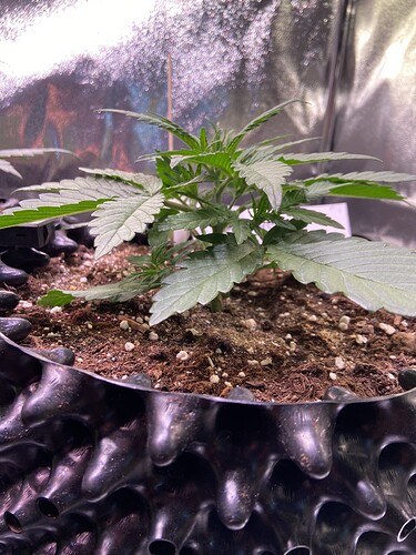 Growreport Bild 9