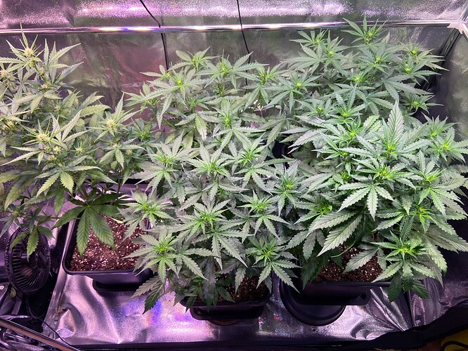Growreport Bild 7