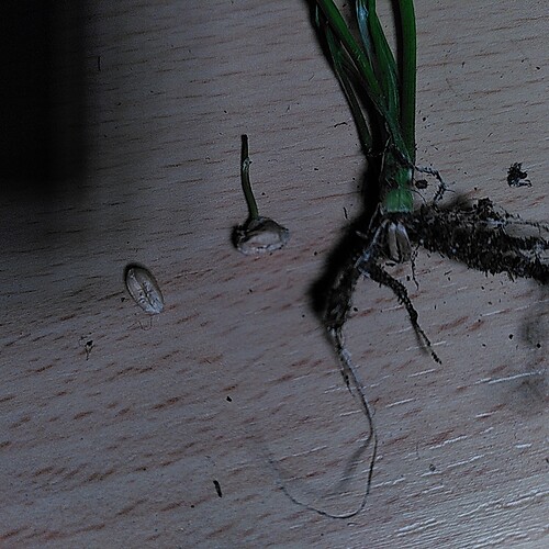 Growreport Bild 9