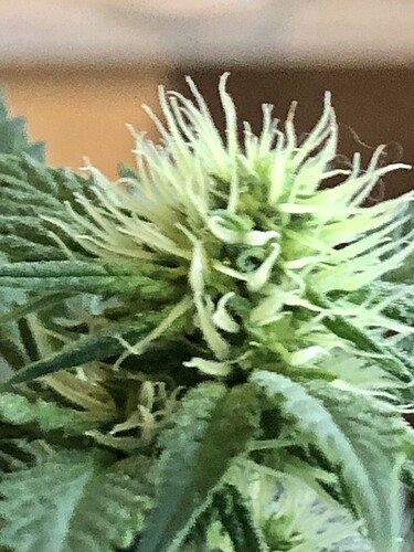 Growreport Bild 8