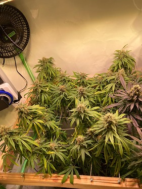 Growreport Bild 8