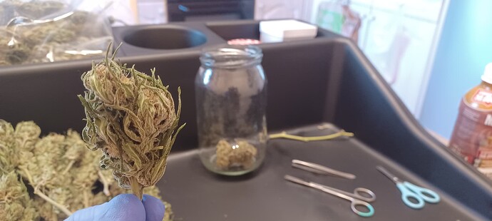Growreport Bild 1