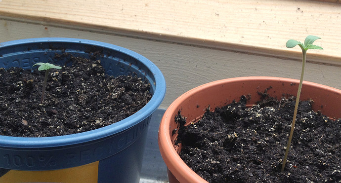 Growreport Bild 15