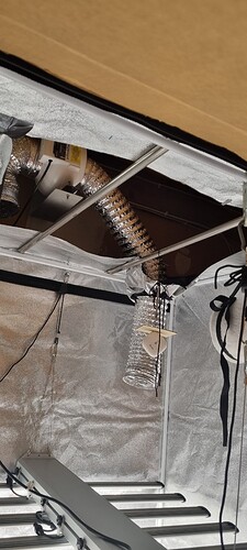Growreport Bild 15
