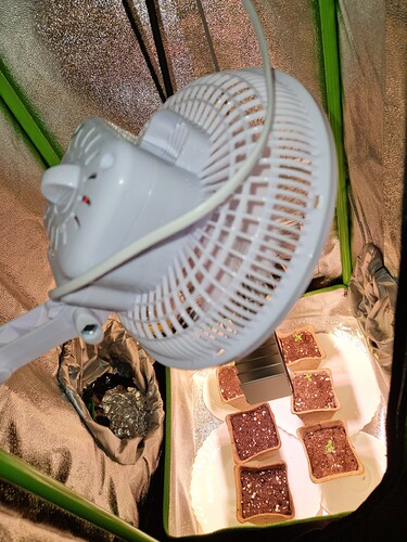 Growreport Bild 5
