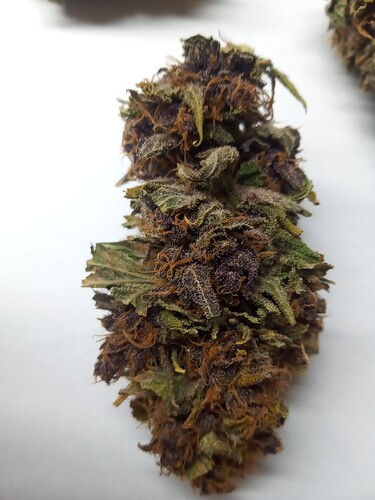 Growreport Bild 6