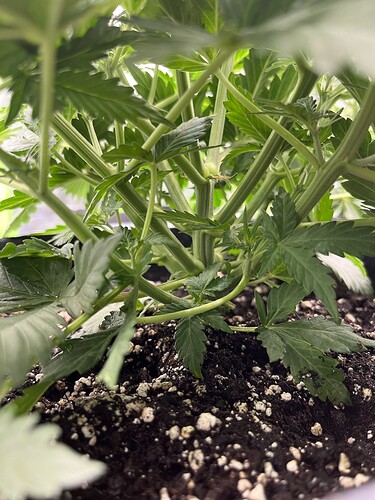 Growreport Bild 8