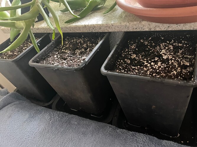 Growreport Bild 30