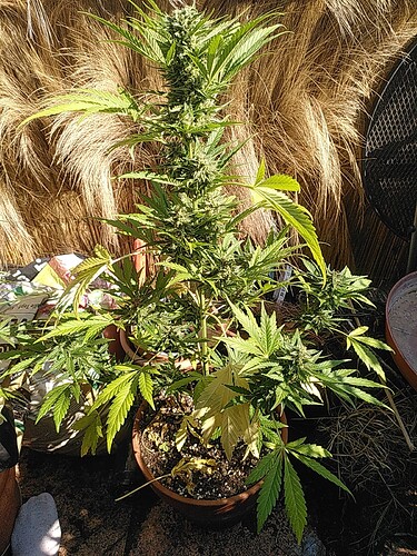 Growreport Bild 11