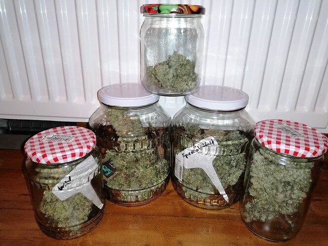 Growreport Bild 2