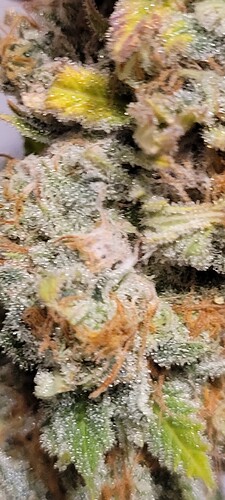 Growreport Bild 10