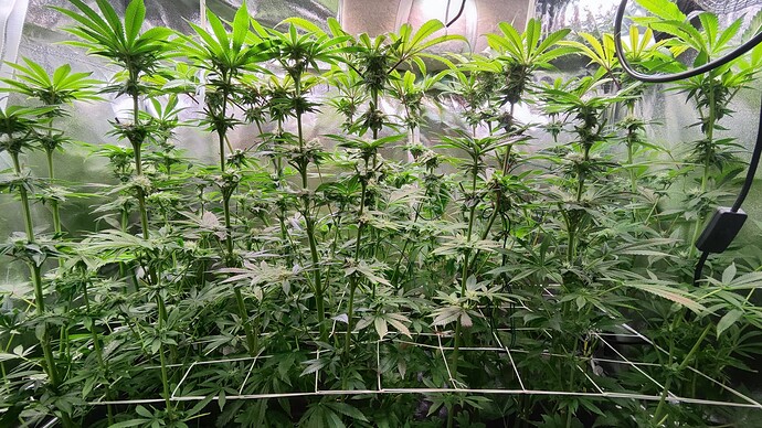 Growreport Bild 17