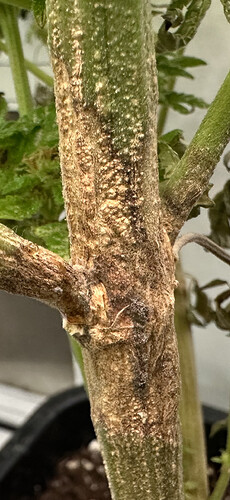 Growreport Bild 7