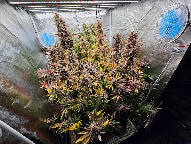Growreport Bild 16