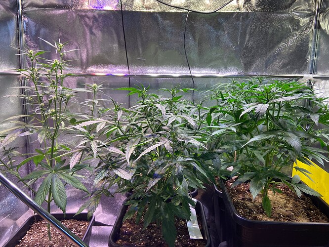 Growreport Bild 6