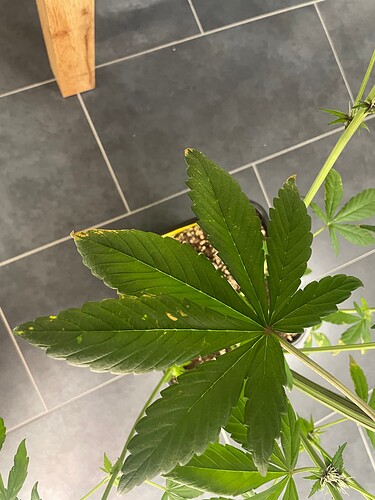 Growreport Bild 24