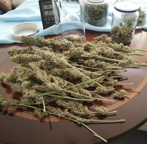 Growreport Bild 20