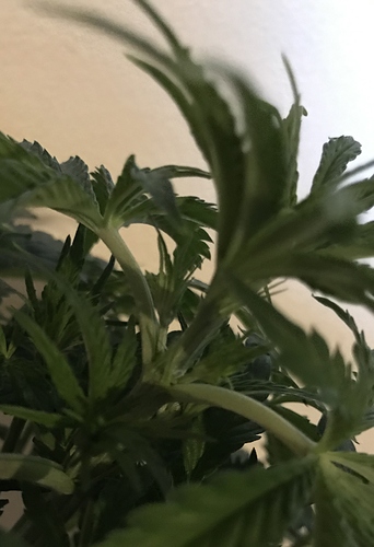 Growreport Bild 11