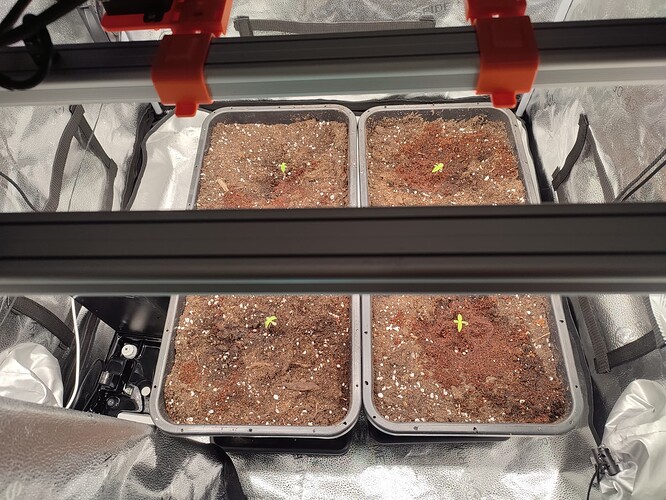 Growreport Bild 3