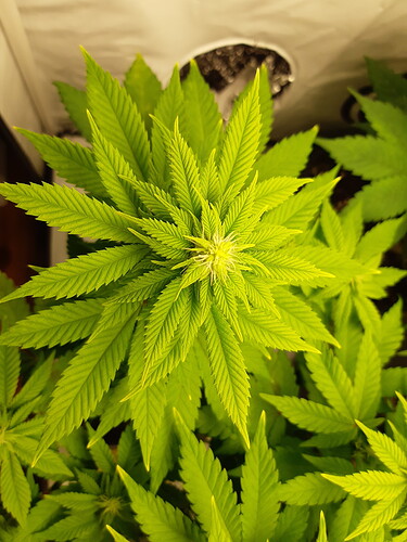 Growreport Bild 11
