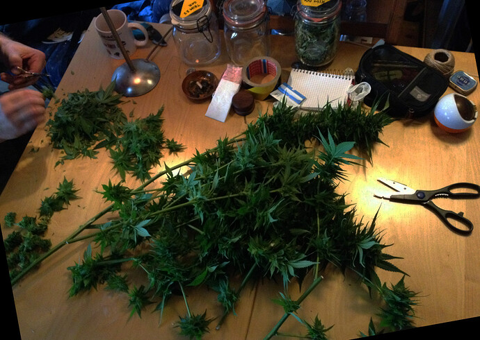 Growreport Bild 17
