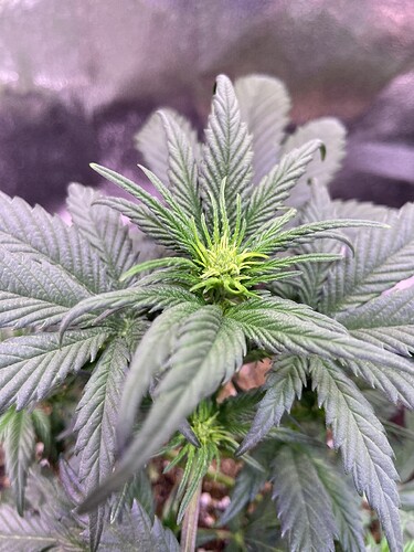Growreport Bild 23