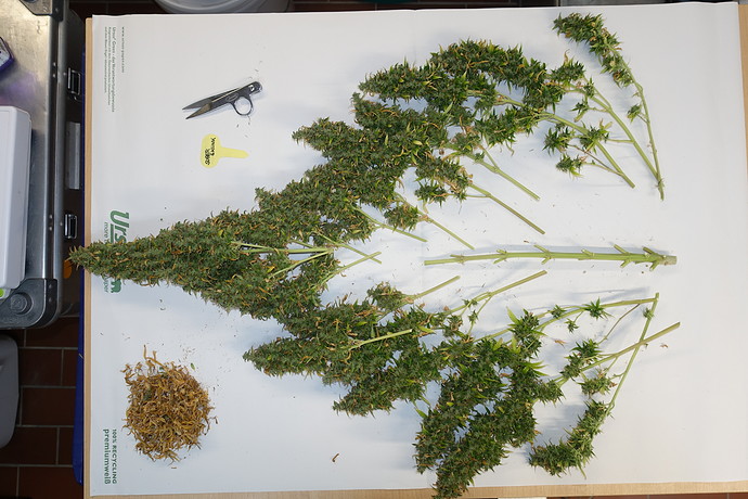 Growreport Bild 3