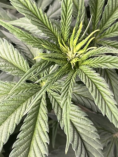 Growreport Bild 3