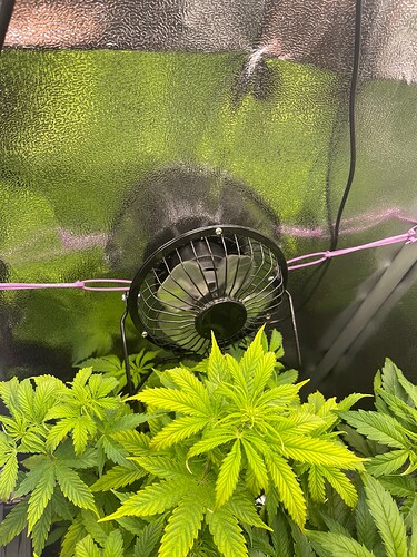 Growreport Bild 2