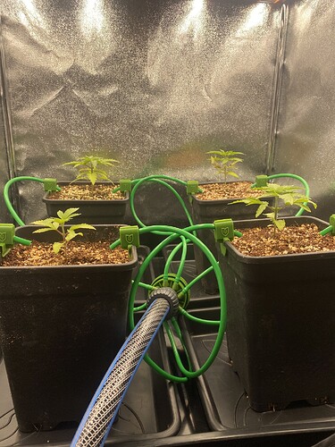 Growreport Bild 10