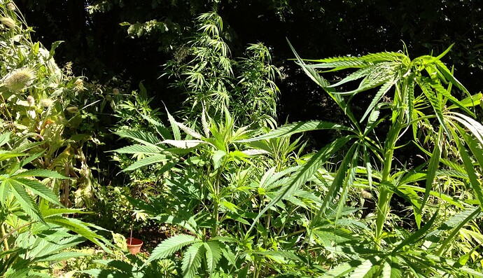 Growreport Bild 11