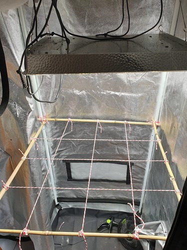 Growreport Bild 1