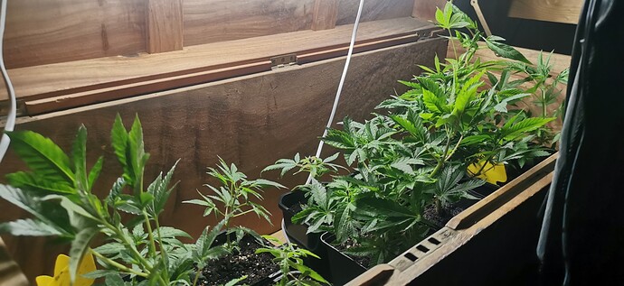 Growreport Bild 28