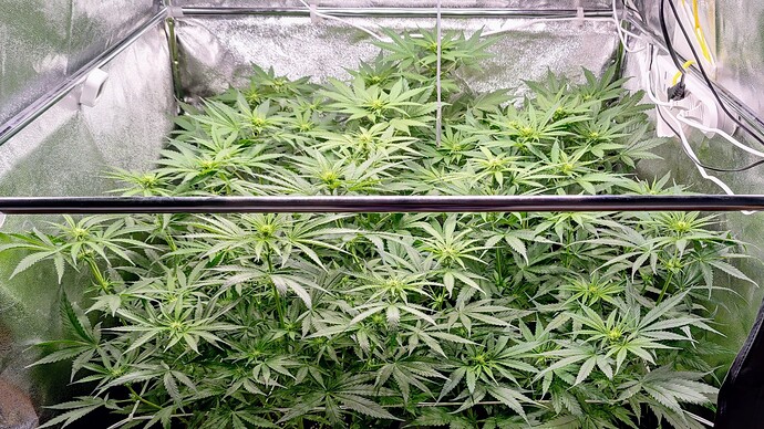 Growreport Bild 22