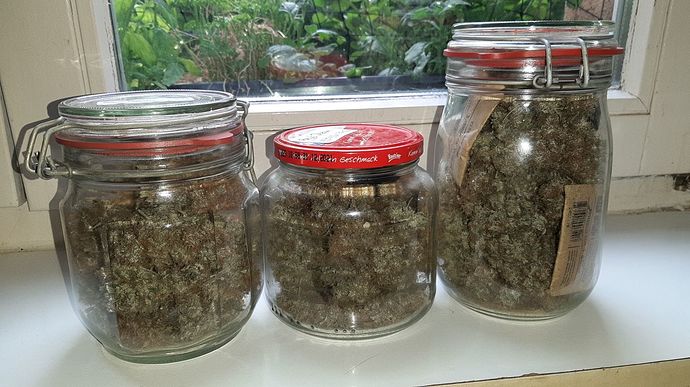 Growreport Bild 12