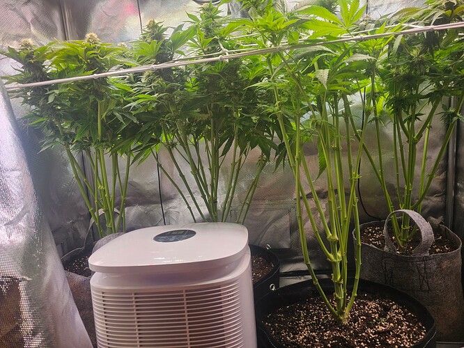 Growreport Bild 10