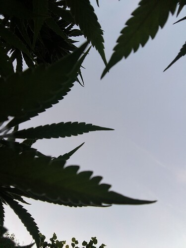 Growreport Bild 17