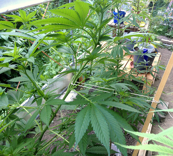 Growreport Bild 21