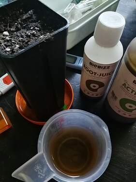 Growreport Bild 54
