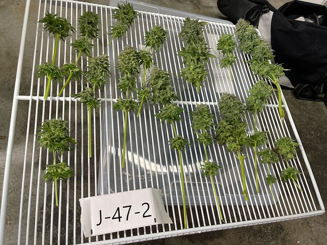 Growreport Bild 9