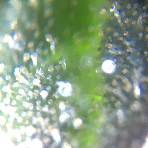 Growreport Bild 8