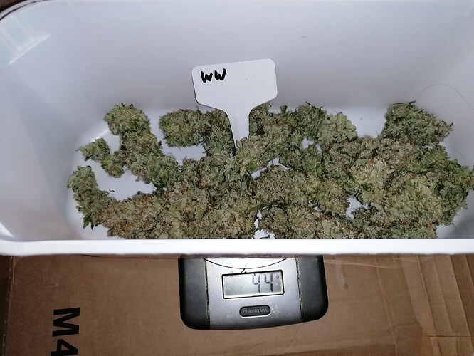 Growreport Bild 3