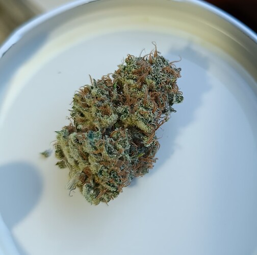 Growreport Bild 5