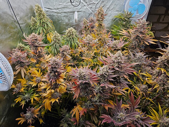 Growreport Bild 4