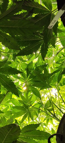 Growreport Bild 2