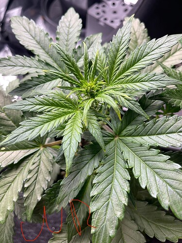 Growreport Bild 18