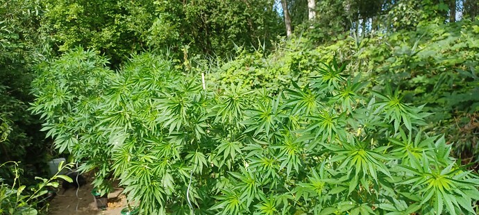 Growreport Bild 8