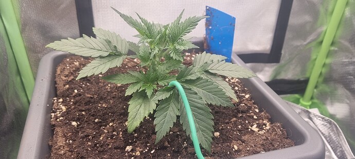 Growreport Bild 10