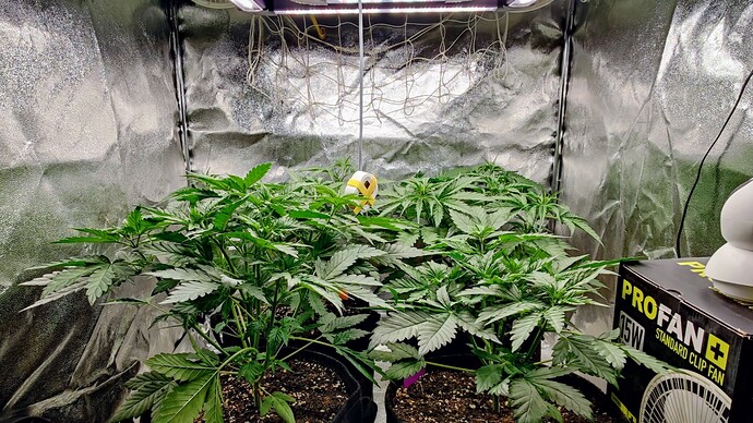 Growreport Bild 3
